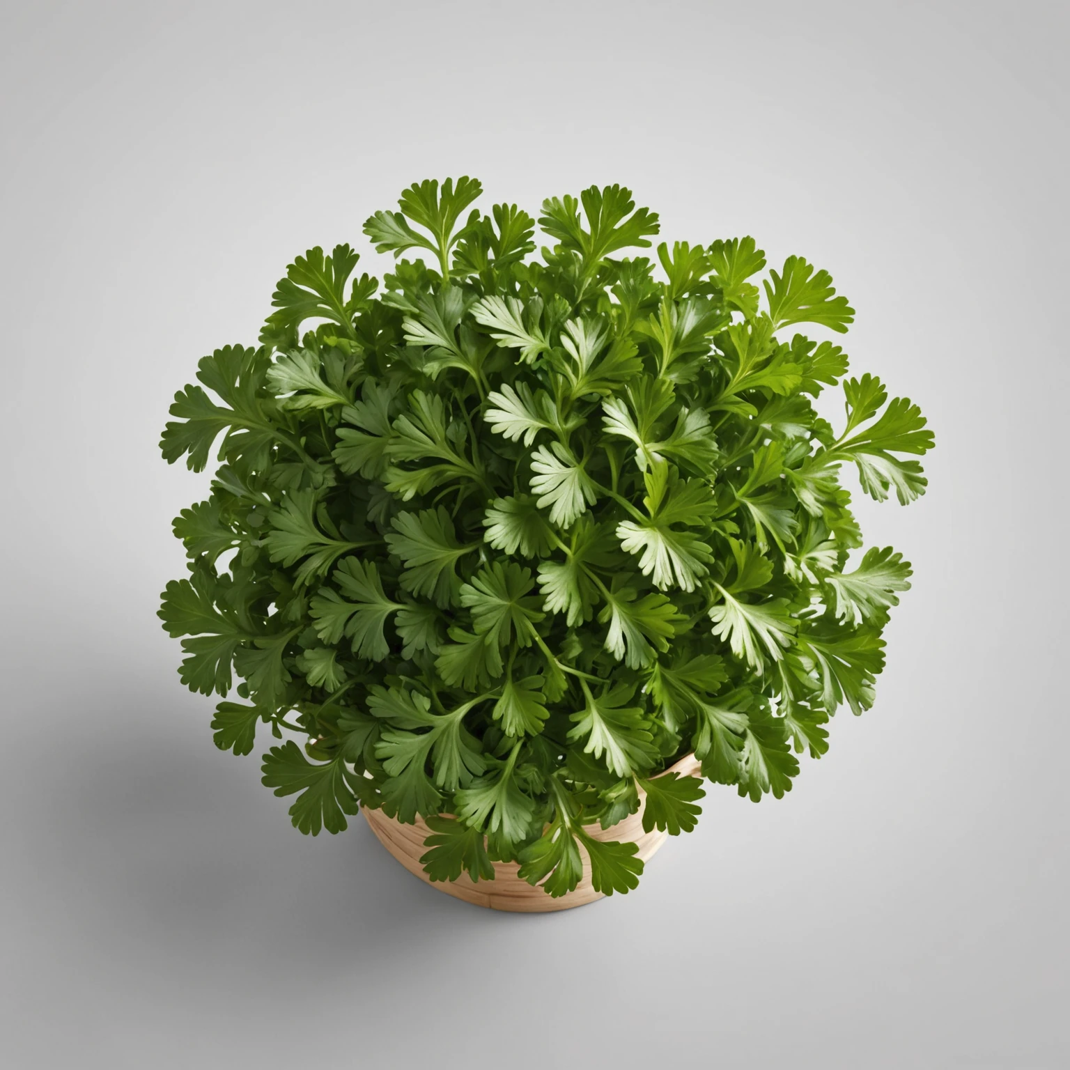 Fresh Parsley recommended for One-Bowl Whole-Grain Savory Pumpkin and Sage Muffins Recipe